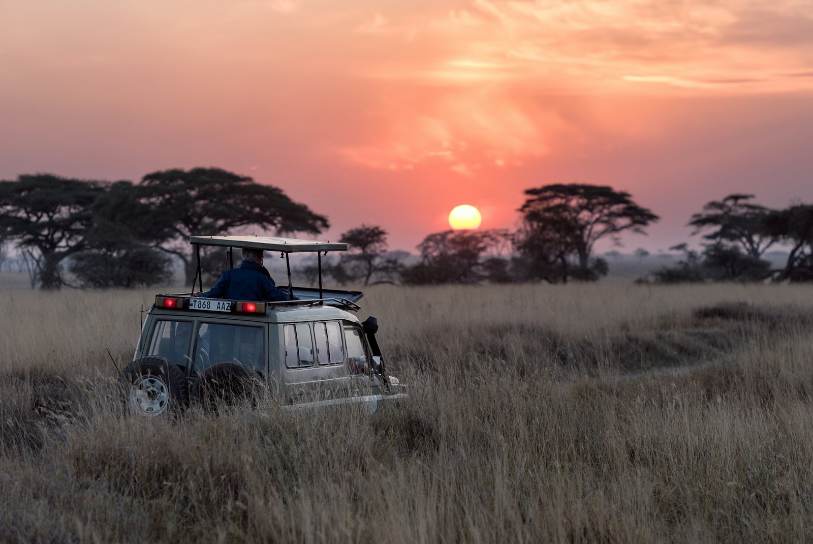 African safari