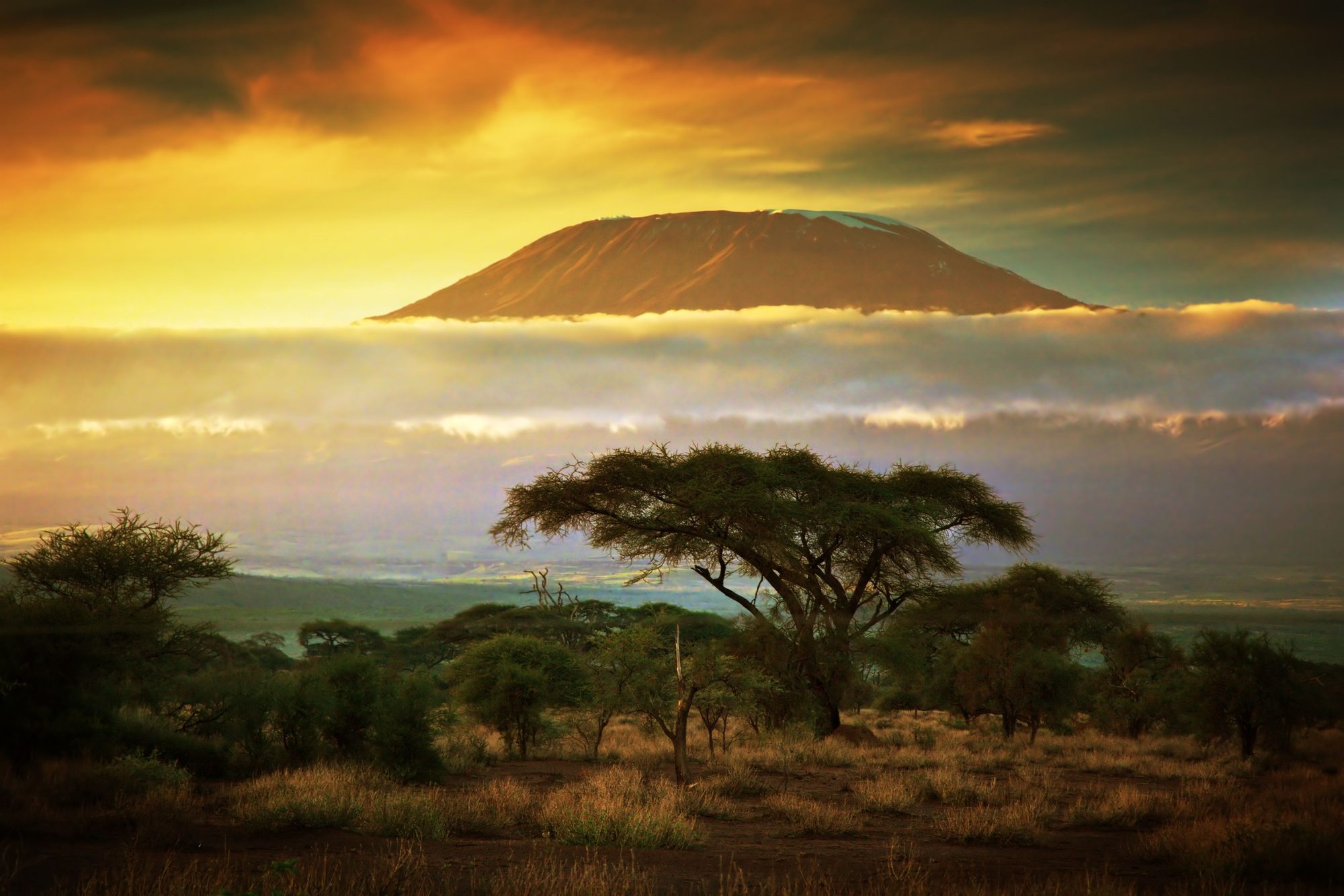 Mount Kilimanjaro at sunrise